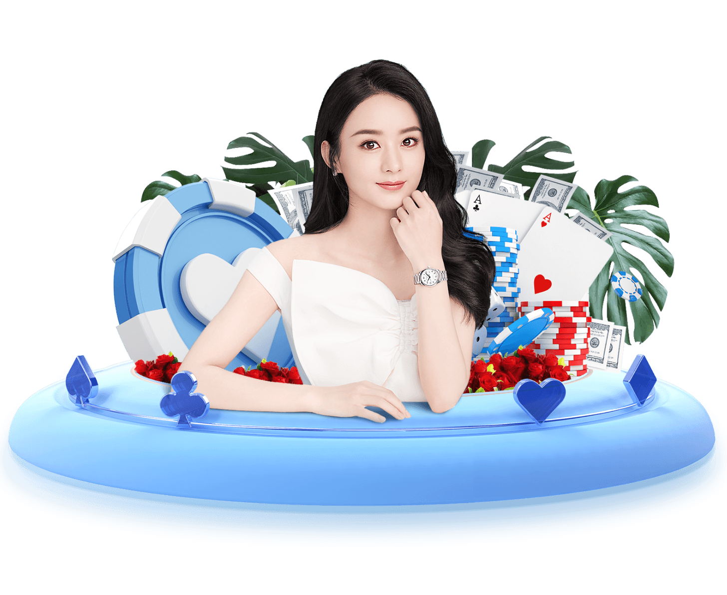海鸥分析师
